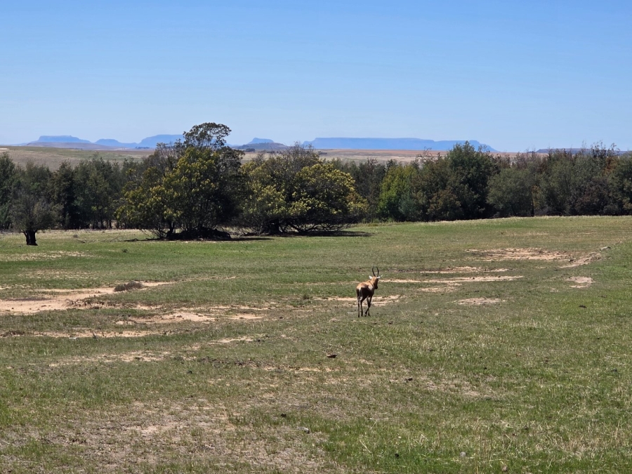 Commercial Property for Sale in Bethlehem Free State